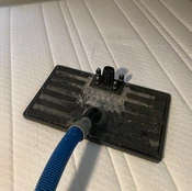 Mattress Cleaning