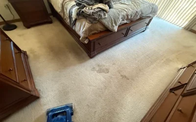 “Expert Tips for Removing Tough Stains from Carpet and Tile in Apopka”