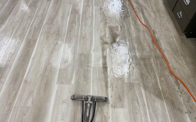 Vinyl floor cleaning Apopka