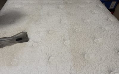 Mattress Cleaning in Apopka, FL